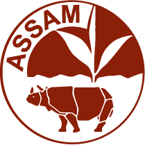 Assam Tea