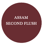 Assam SF